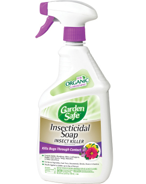 Insecticides